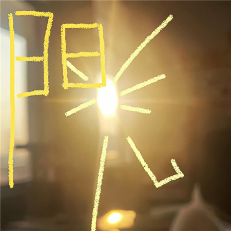 宠物助理必备知识